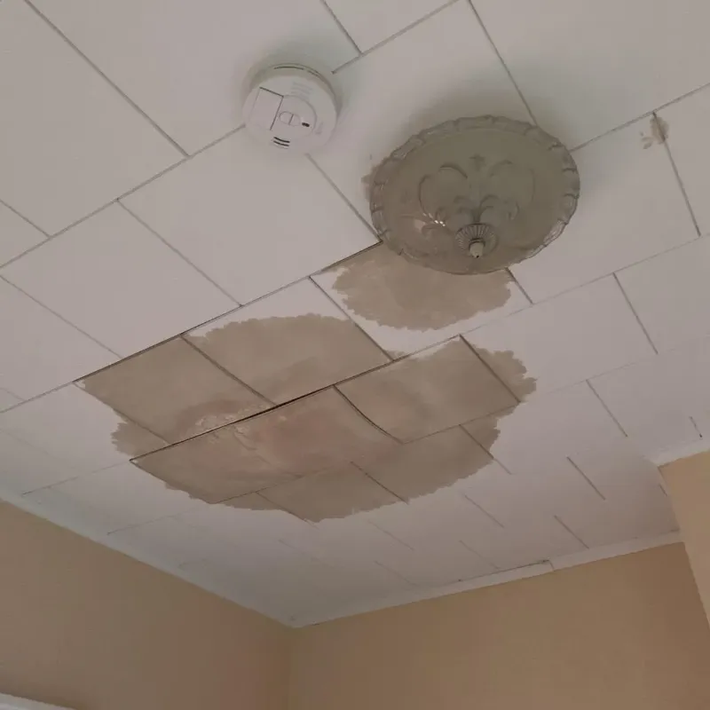 Ceiling Water Damage Repair in Brookings County, SD