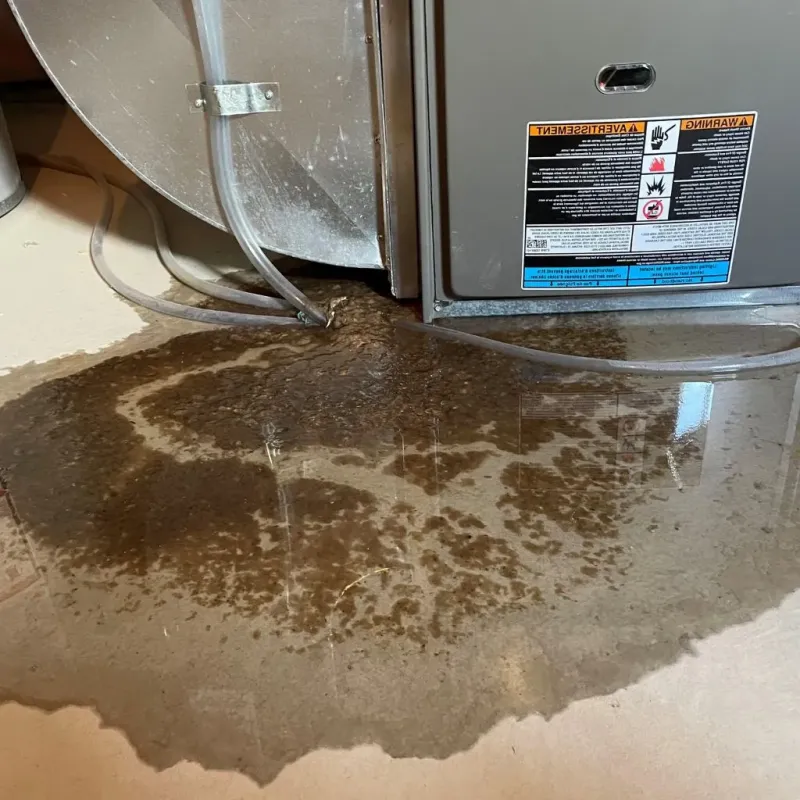 Pipe Burst and Leak Restoration in Brookings County, SD